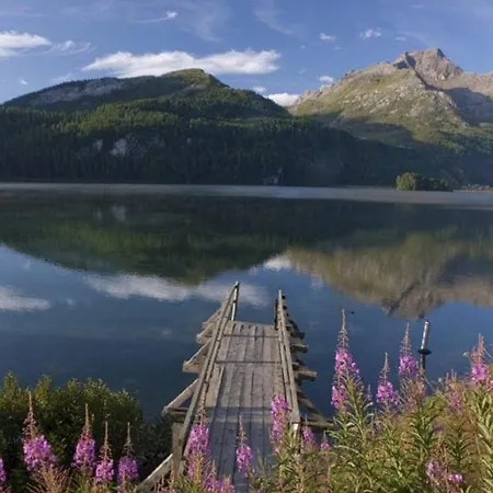 Lägenhet Residenza Lagrev Nr 303 - Typ 10a - 3 Etage - Ost Sils Maria
